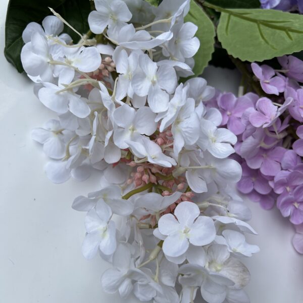 Бузок білий