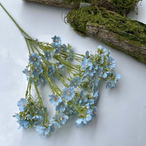 Незабутка голуба