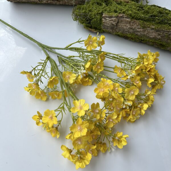 Незабутка жовта