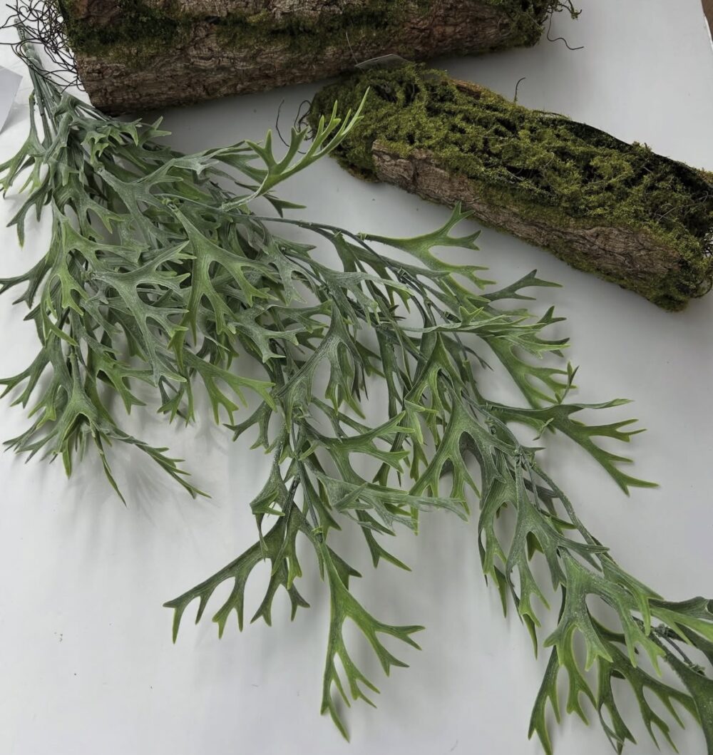 Ріжкова ліана