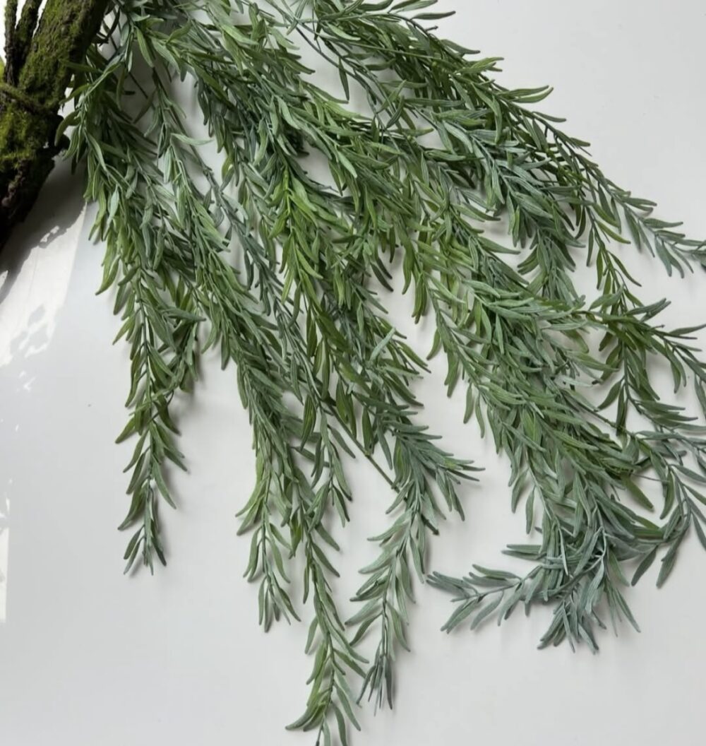 Рускус ліана