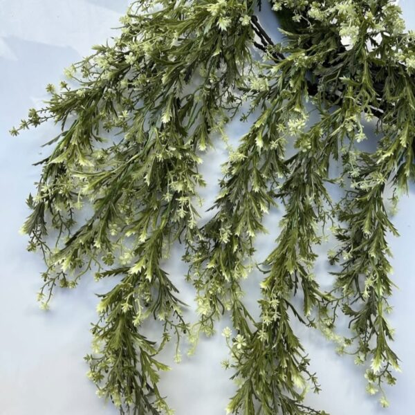 Квітуча ліана