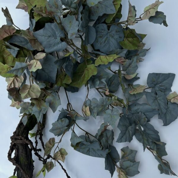 Дуб лісовий