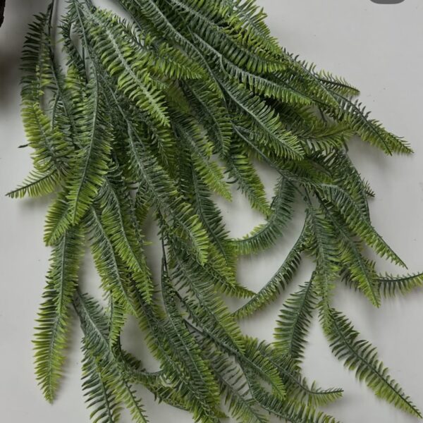 Смерекова туя