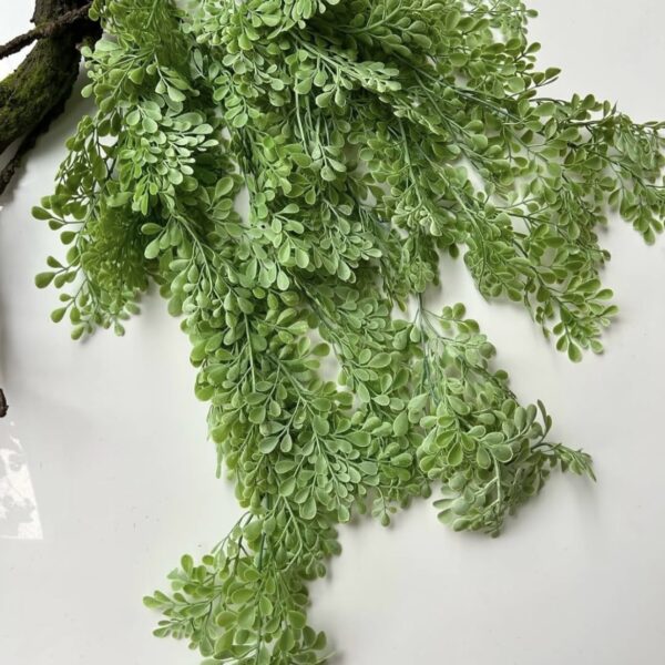 Фісташкова ліана