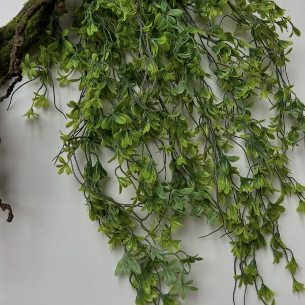 Квітуча ліана