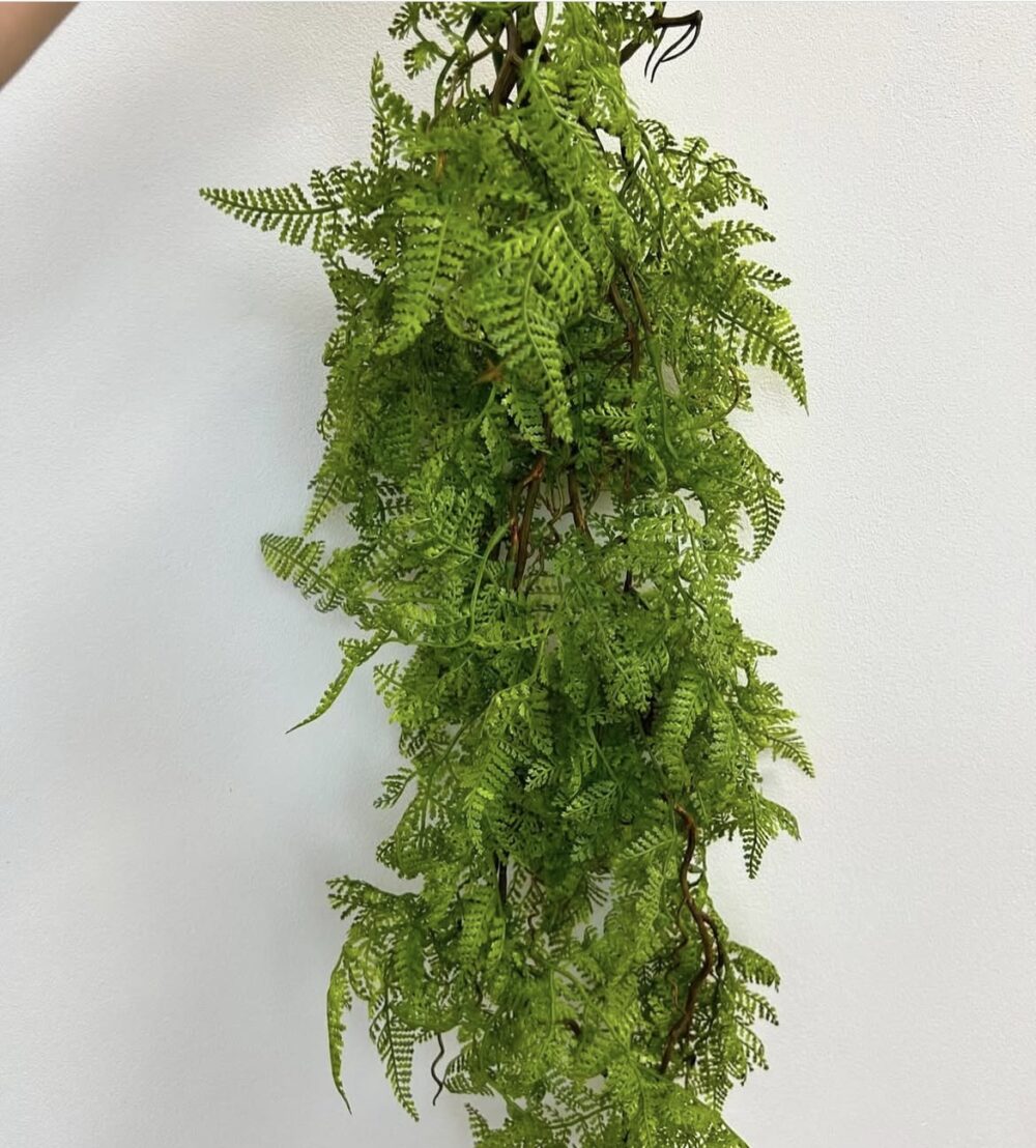 Папороть преміальна