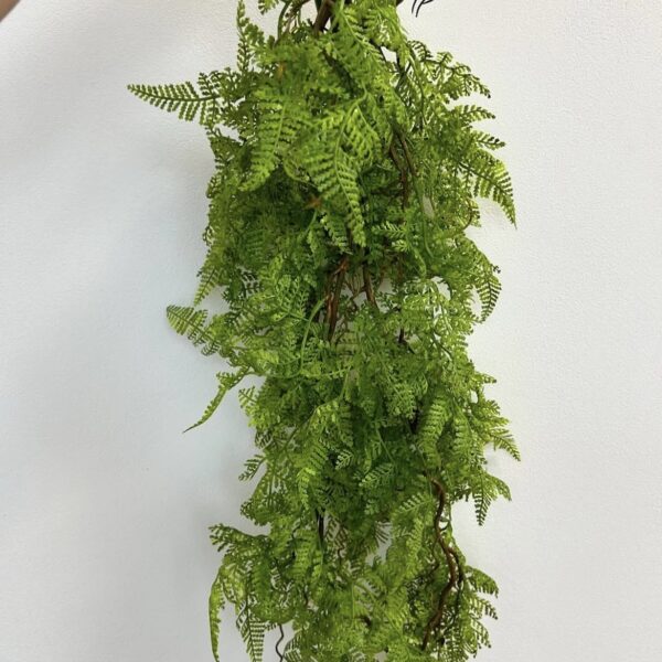 Папороть преміальна