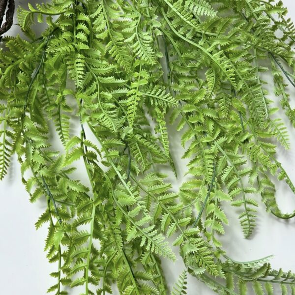 Папорорть зелена