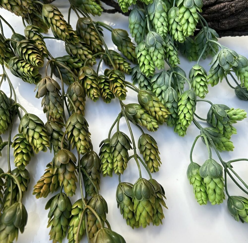 Хміль з відтінком - Зображення 2