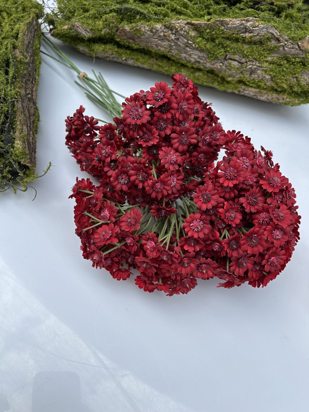 Незабуткака червона