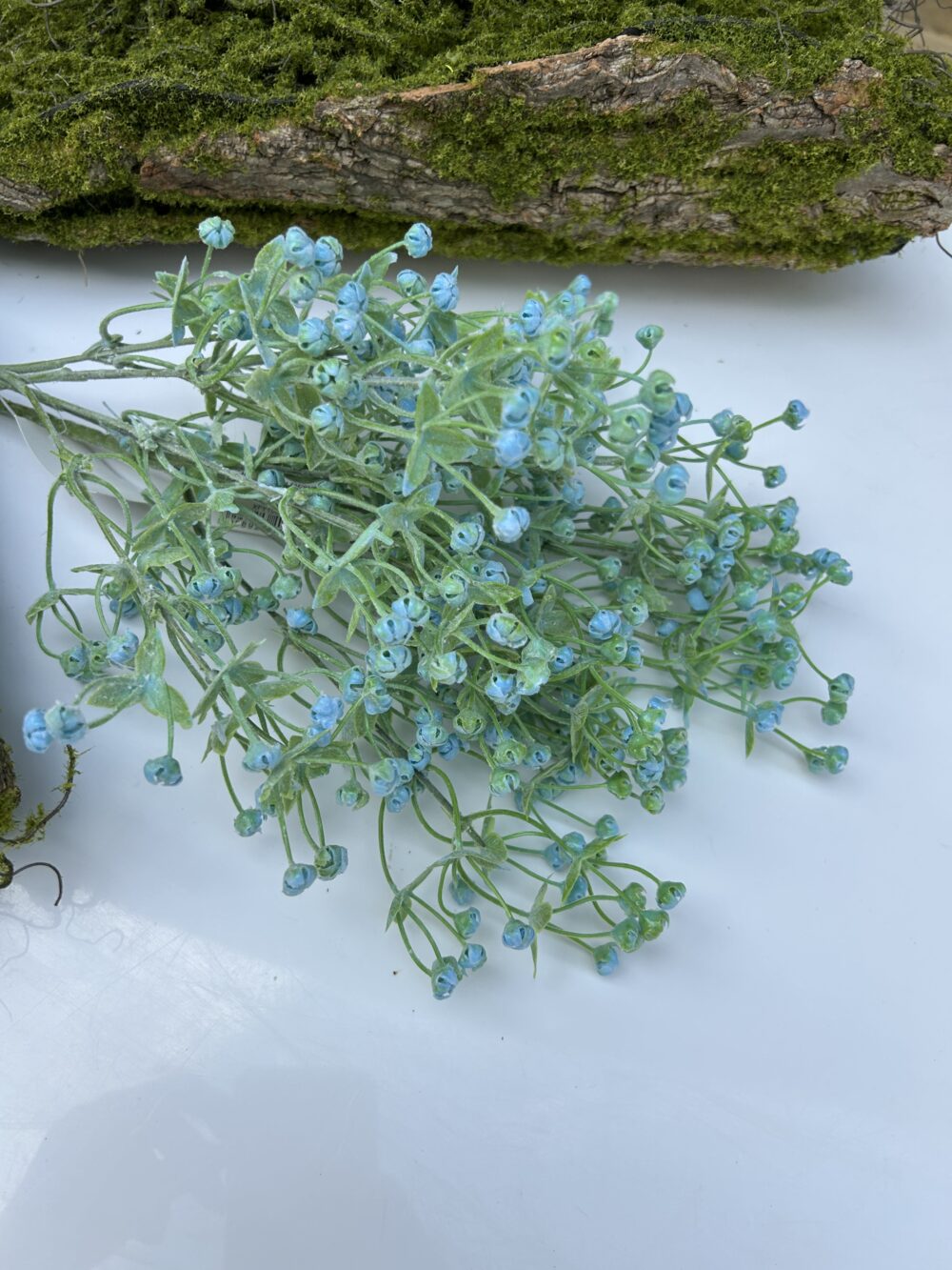 Гіпсофіла кущова - Зображення 2