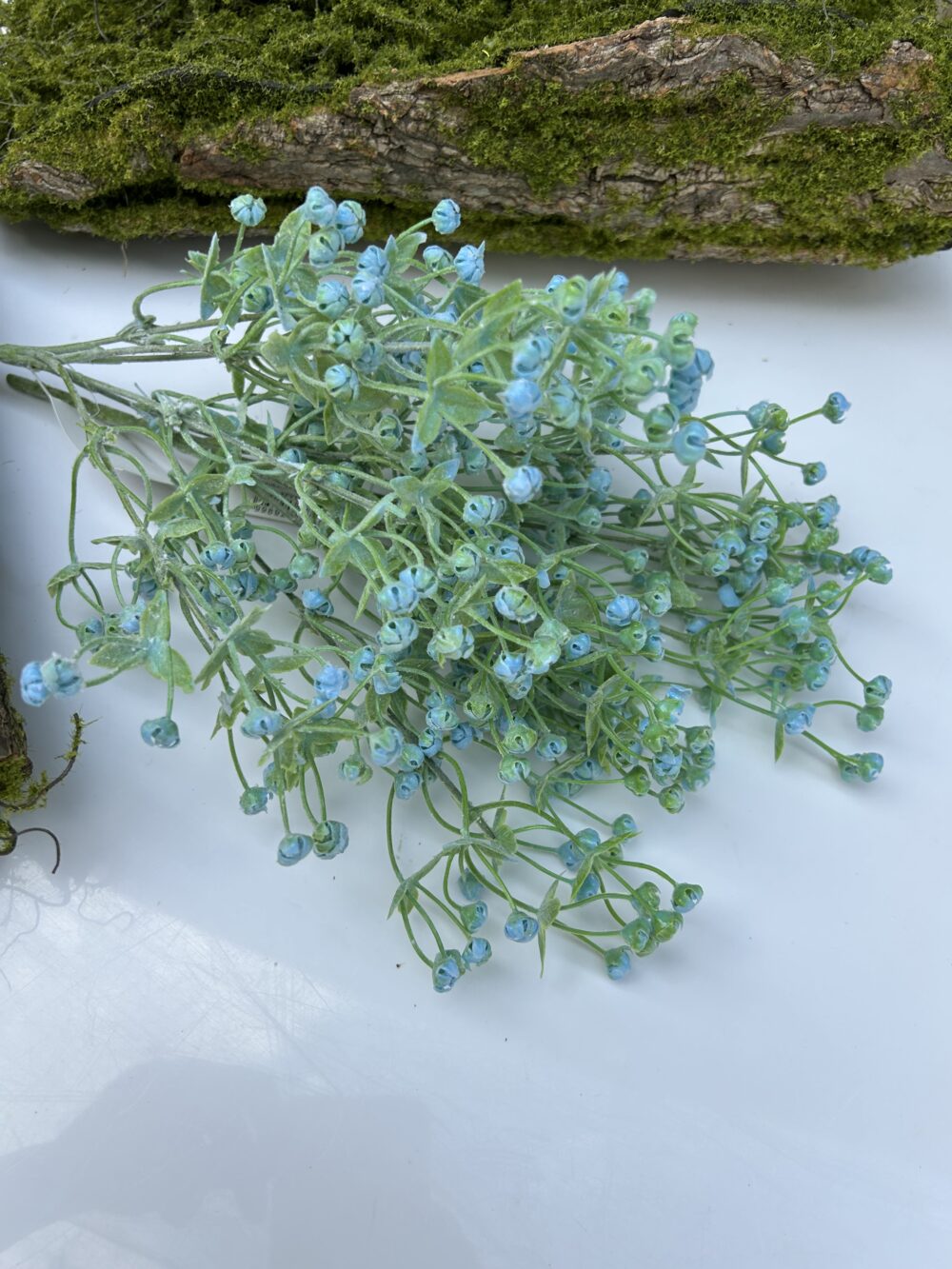 Гіпсофіла кущова