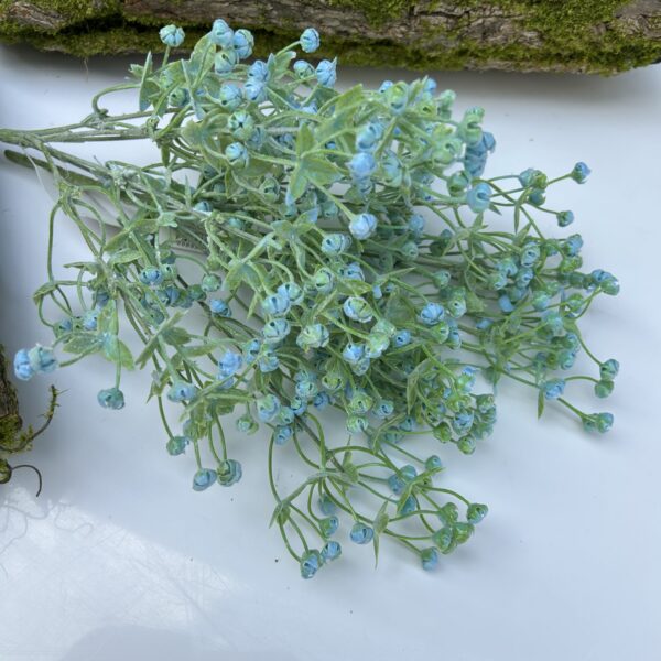 Гіпсофіла кущова