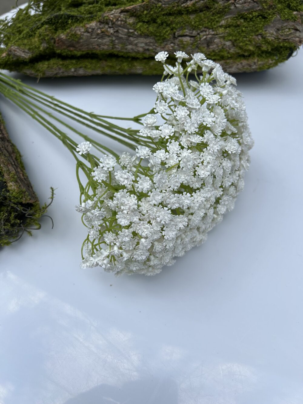 Гіпсофіла біла - Зображення 2