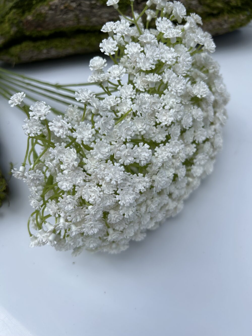 Гіпсофіла біла - Зображення 3