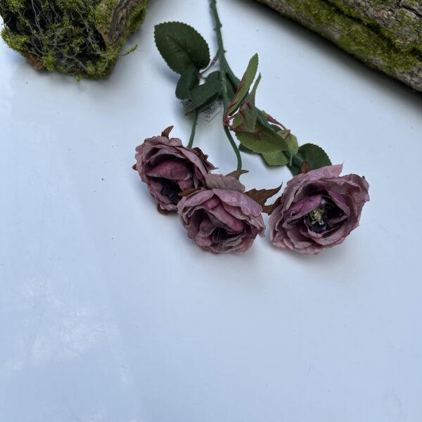 Троянда стабілізована фіалкова