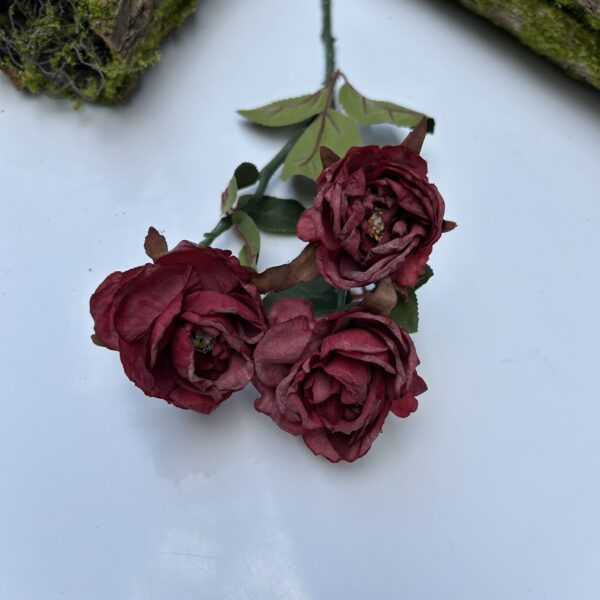 Троянда стабілізована боргунді