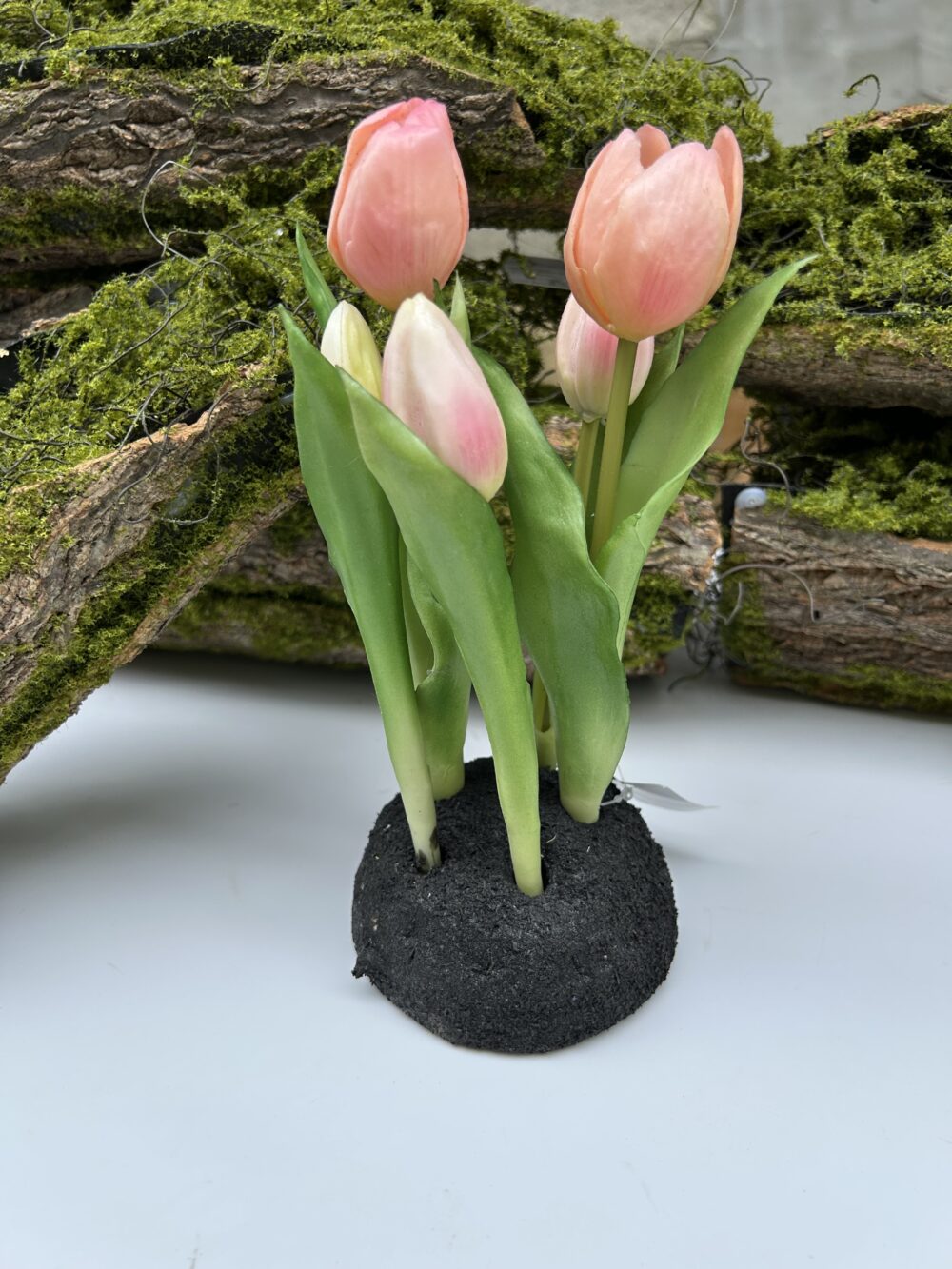Тюльпани на підстаці