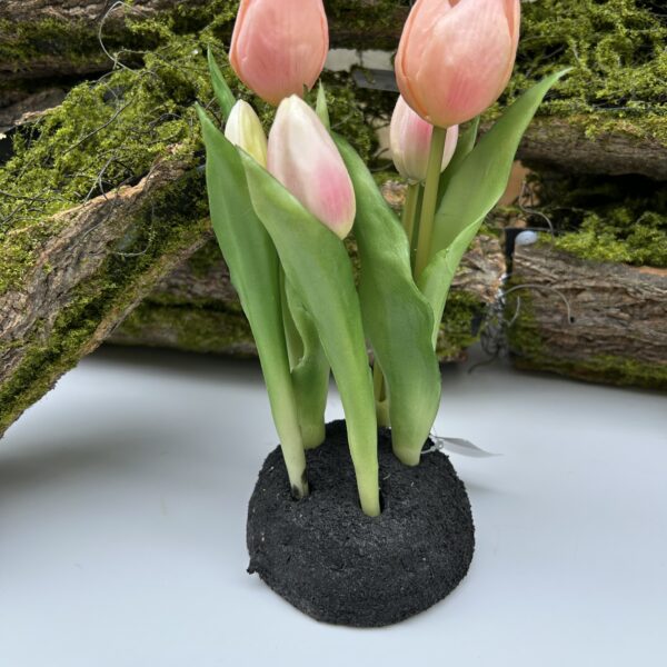Тюльпани на підстаці