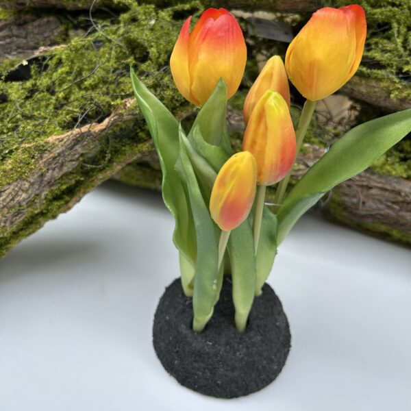 Тюльпани на підставці