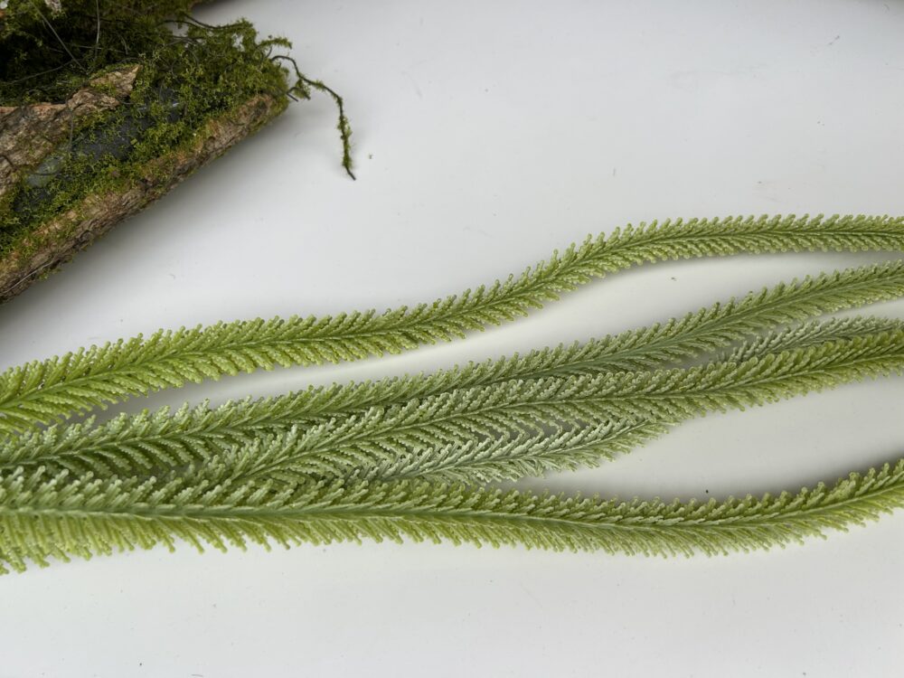 Амарант - Зображення 2