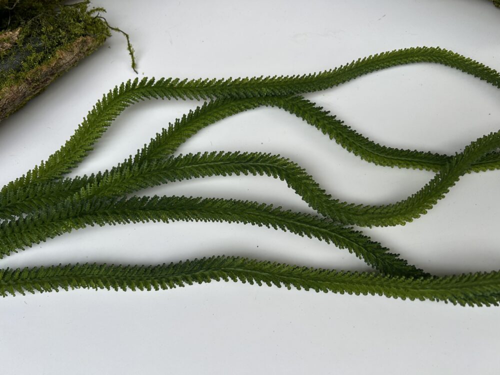 Амарант - Зображення 2