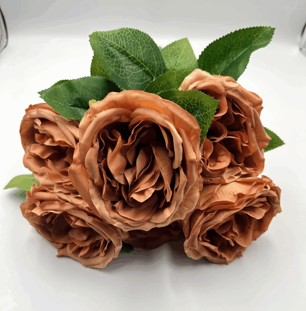 Троянда Девід Остін