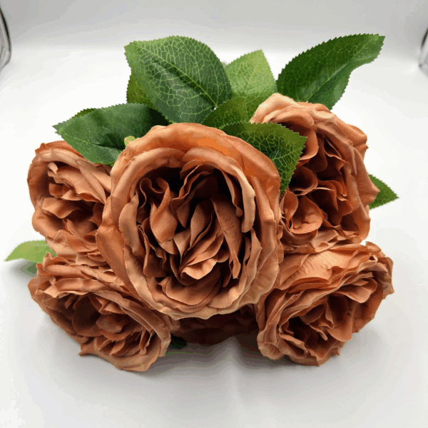 Троянда Девід Остін