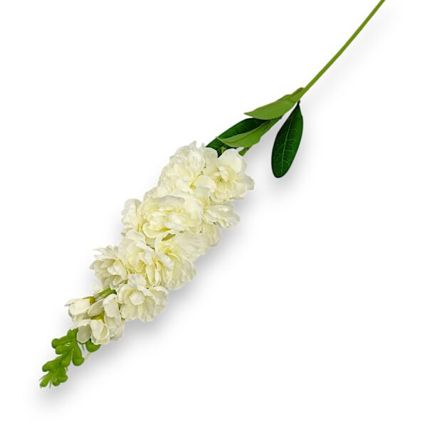 Дельфініум, матіола