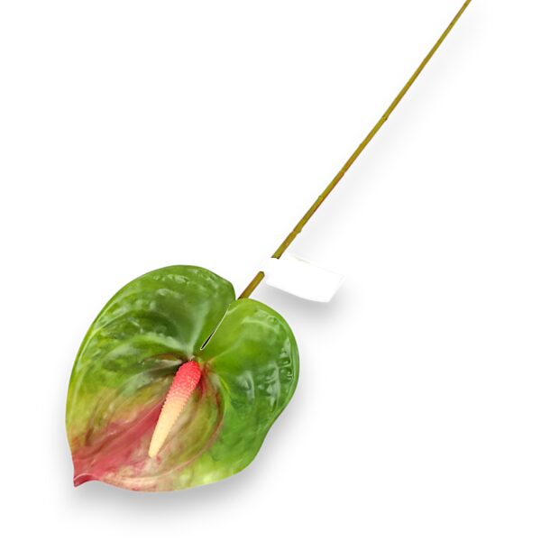 Антуріум зелений