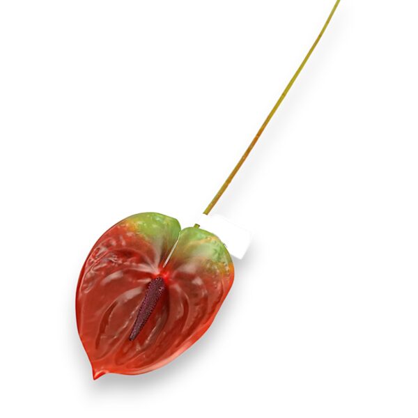 Антуріум червоний