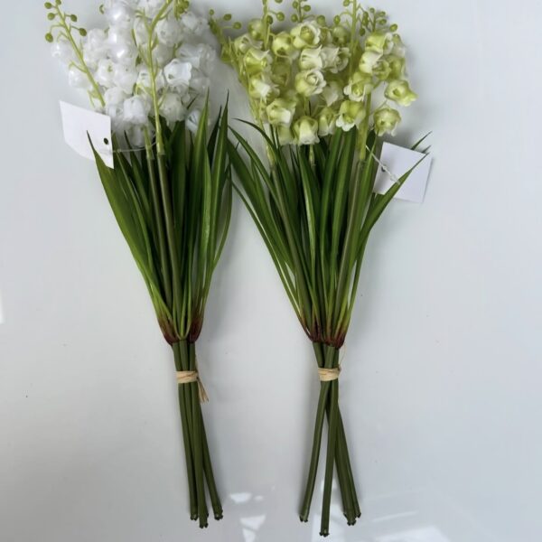 Конвалія біла