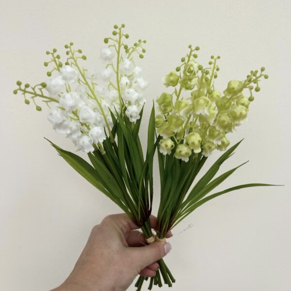 Конвалія зелена