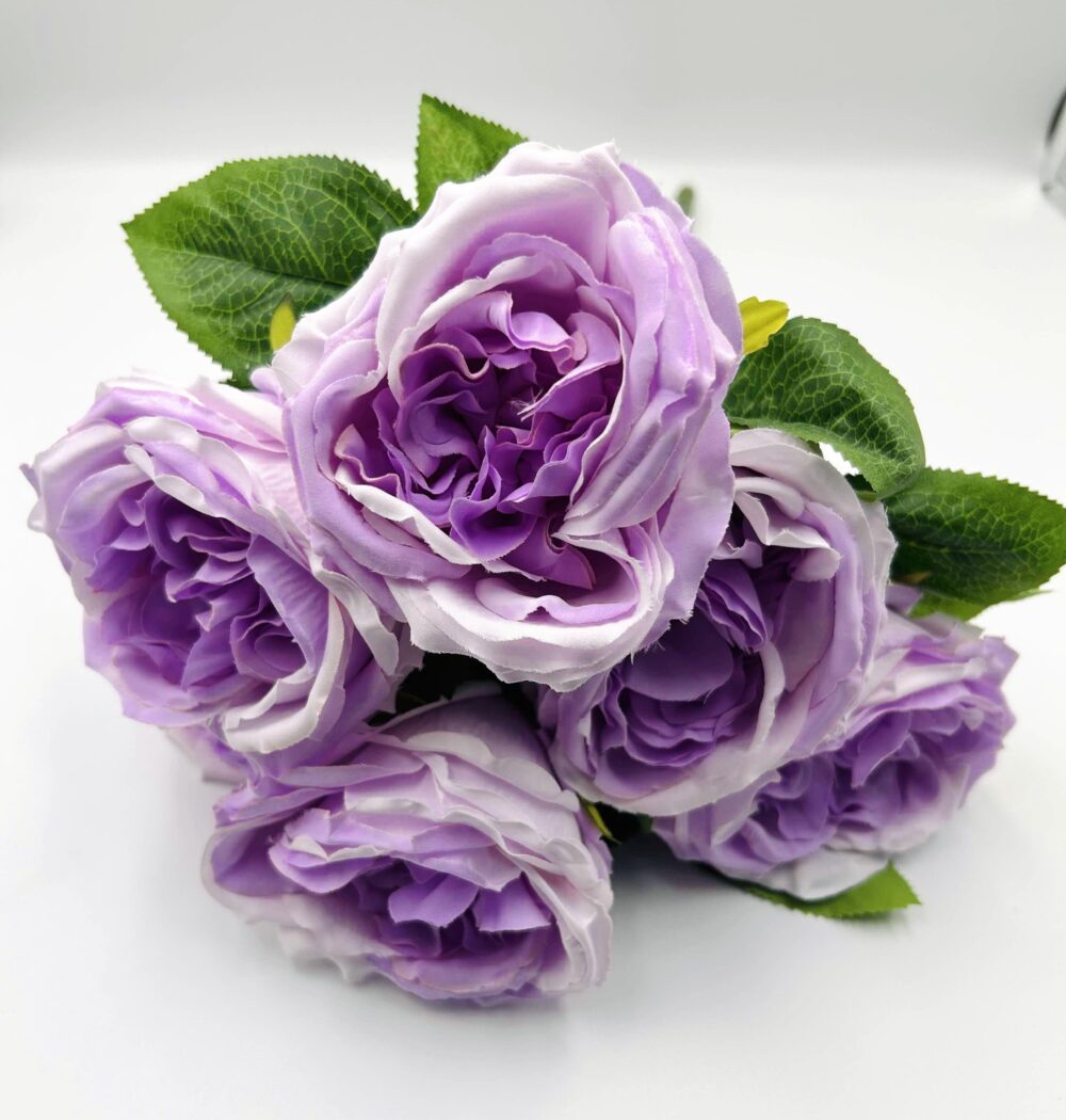 Троянда Девід Остін