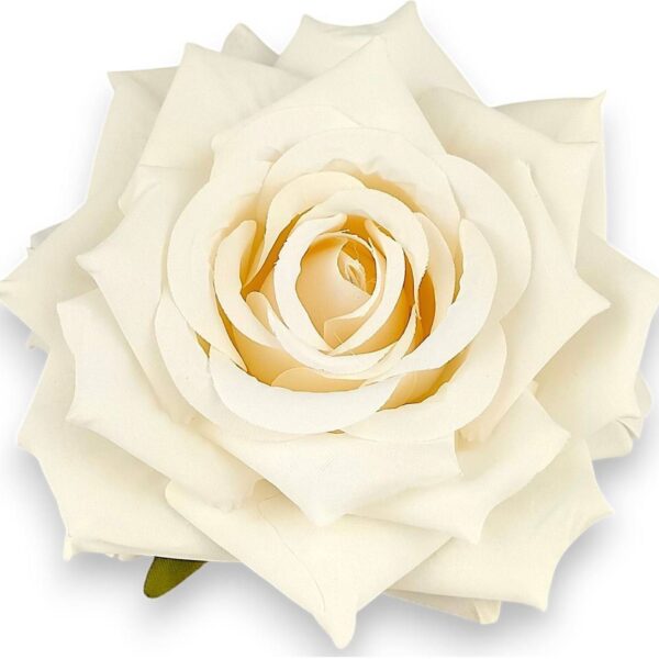 Голови квітів