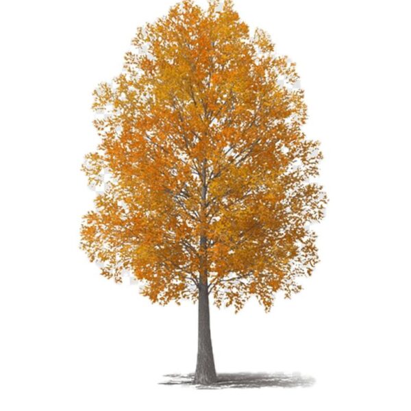 Осінній декор