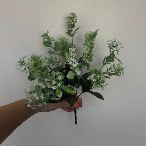 Шафран квітучий