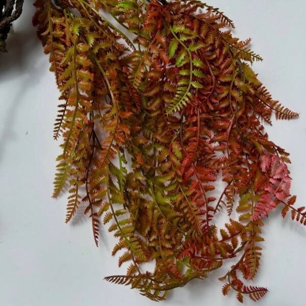 Осіння папороть