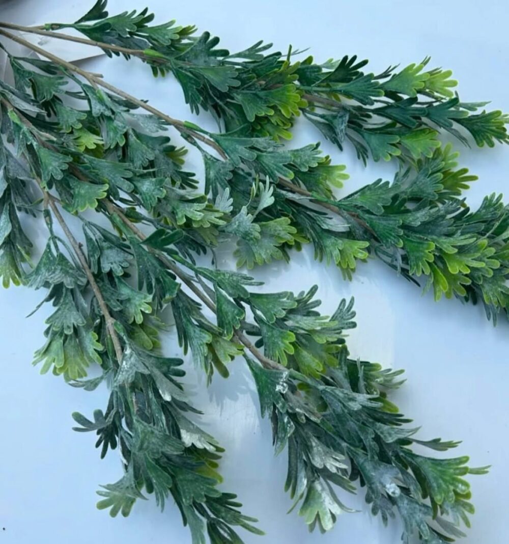 Кущ оленячий ріг