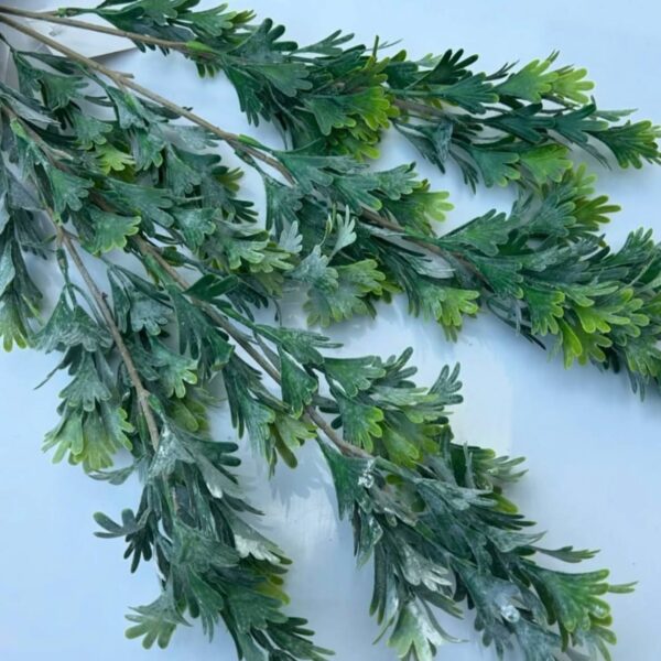 Кущ оленячий ріг