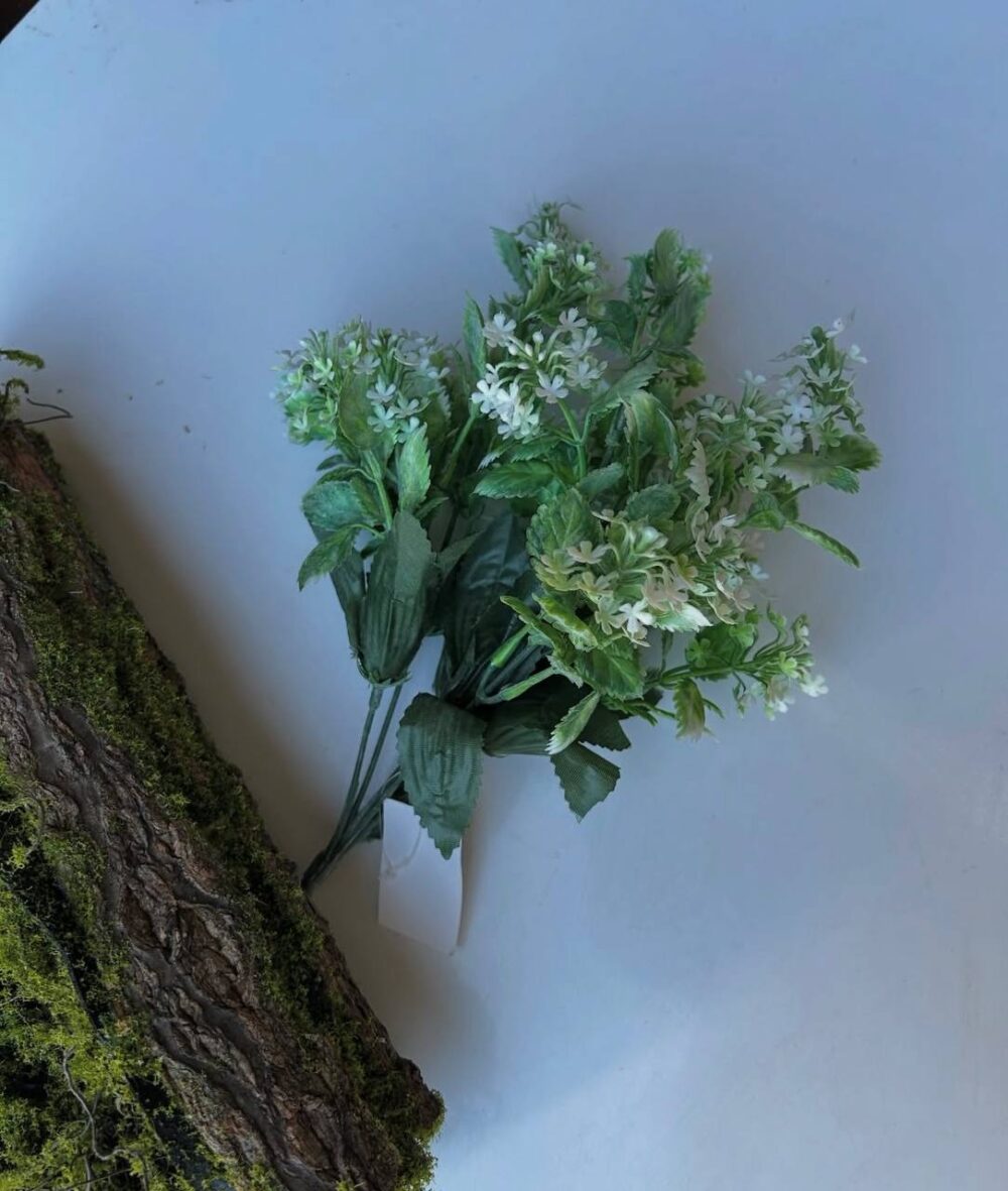 Шафран квітучий