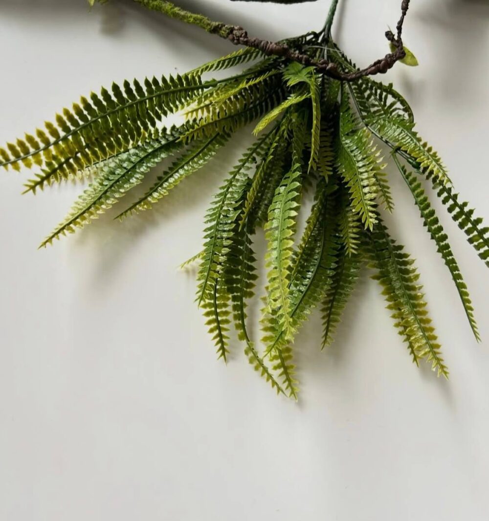 Папороть лісова