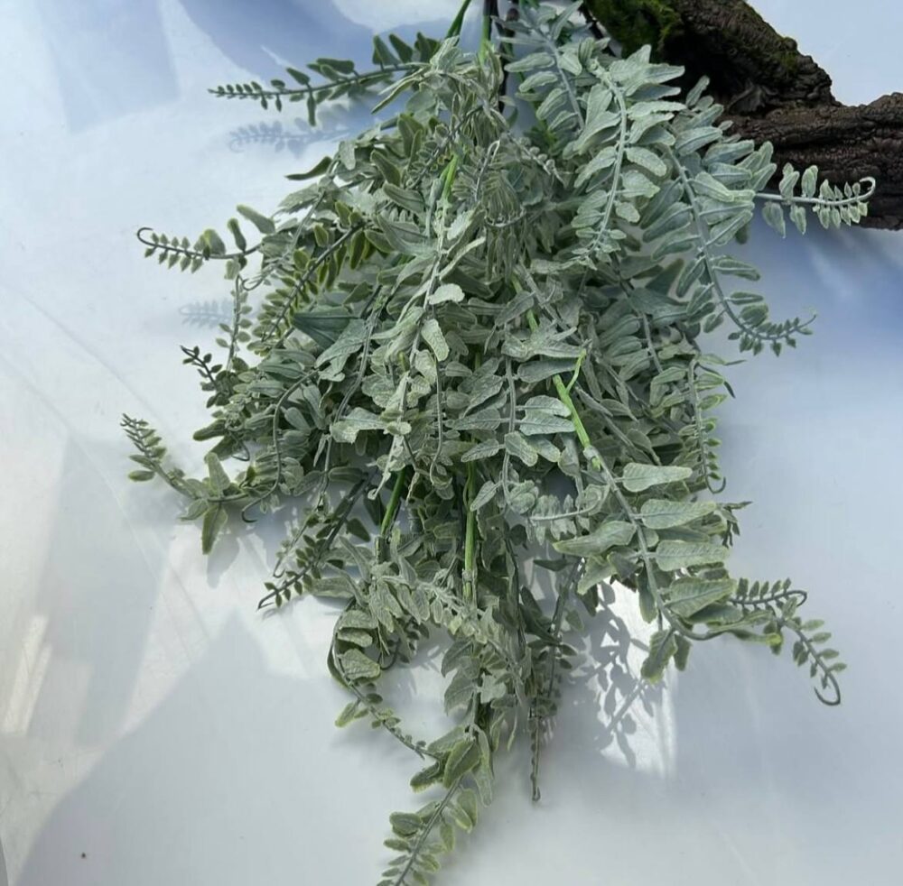 Папороть кущова