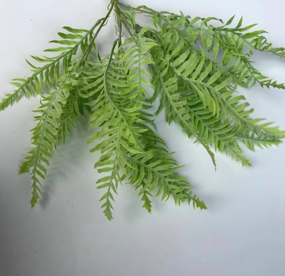 Папороть гелева