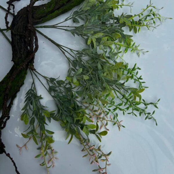 Фістація квітуча