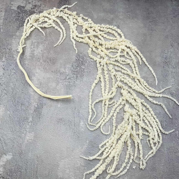 Амарант стабілізований білий