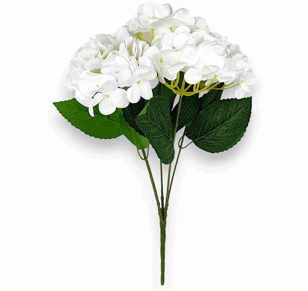 Гортензія короліваська білосніжна - Зображення 2