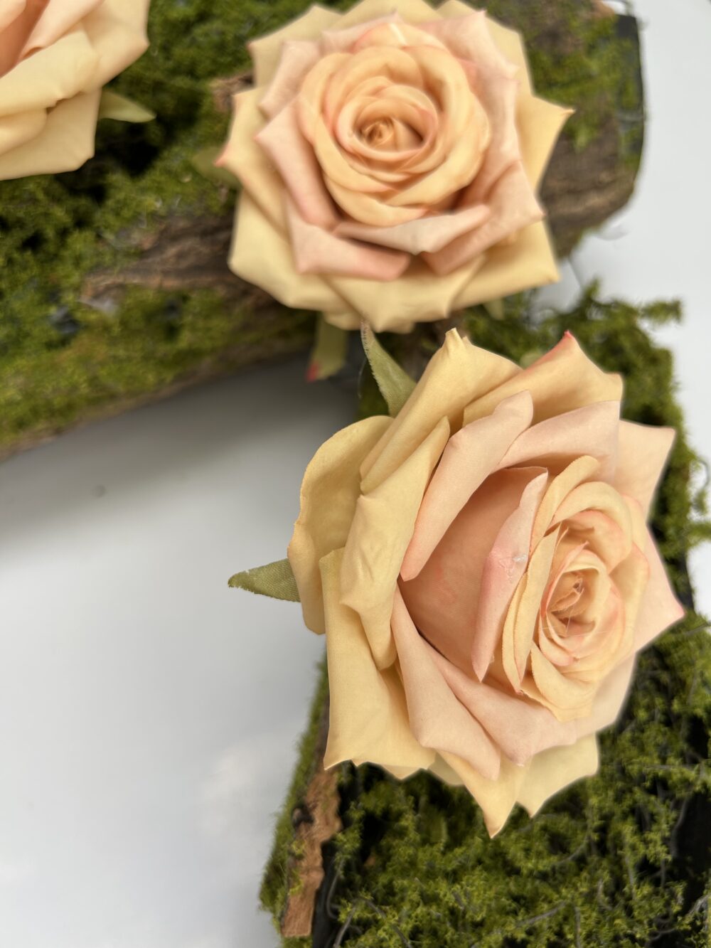 Троянда жовта - Зображення 2