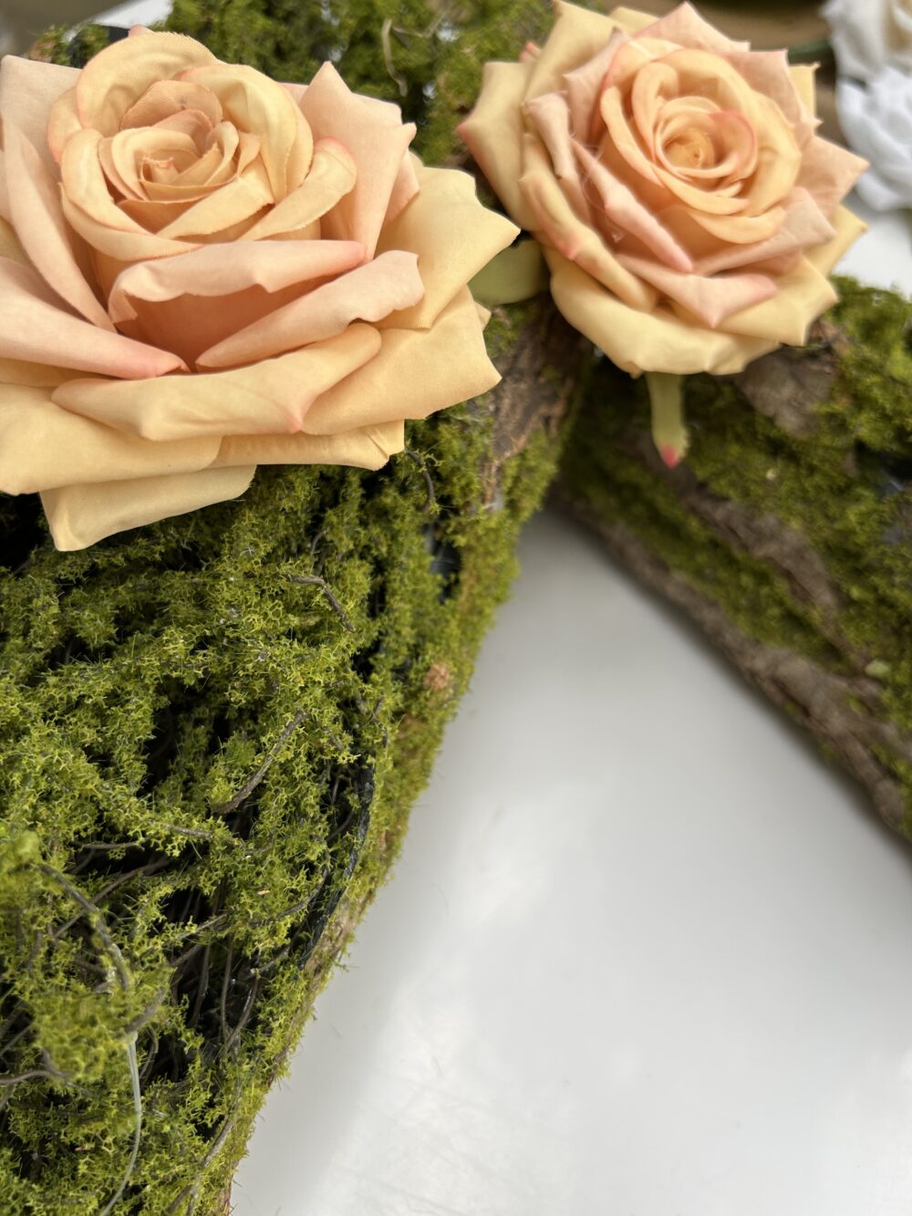 Троянда жовта - Зображення 3